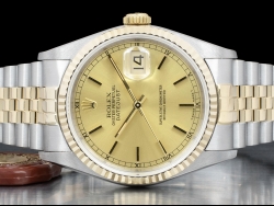 Rolex Datejust 36 Champagne Jubilee Crissy Dial 16233 